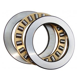 81111 TN SKF cylindrical roller thrust bearings