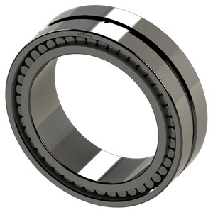 SL02 4916 A MTK Full Complement Cylindrical Roller Bearing