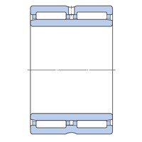 NA6902 SKF needle roller bearing with inner ring, double row