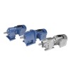 Helical inline geared motors