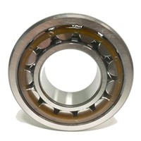 NU311 ECJ SKF Cylindrical Roller Bearing