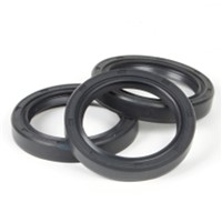 17X25X4 G Metric Oil Seal