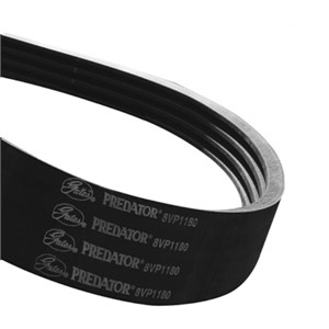 SPB2240/11 Gates PREDATOR POWERBANDS Belt