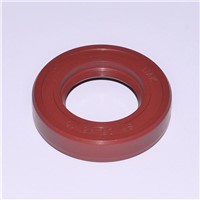 17X35X7 R23 Viton Metric Oil Seal